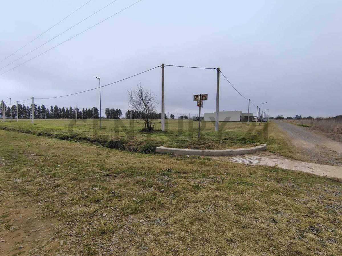 Foto de Lote 12 x 30,14 m en Loteo Don Basilio., imagen 3