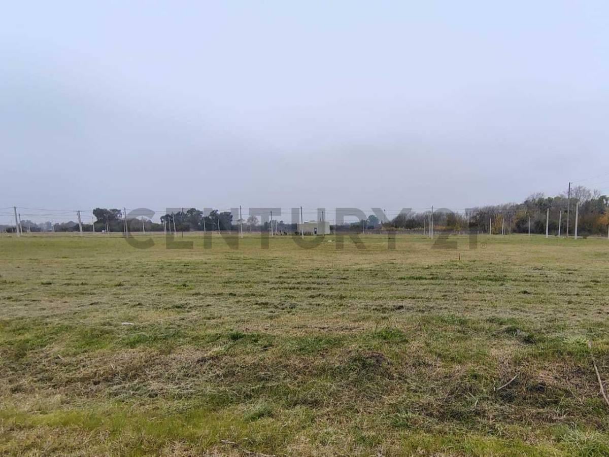 Foto de Lote 12 x 30,14 m en Loteo Don Basilio., imagen 2