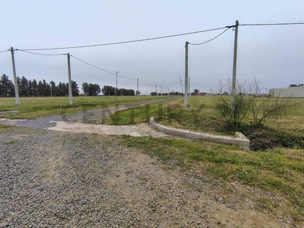 Foto de Lote 12 x 30,14 m en Loteo Don Basilio., imagen 4