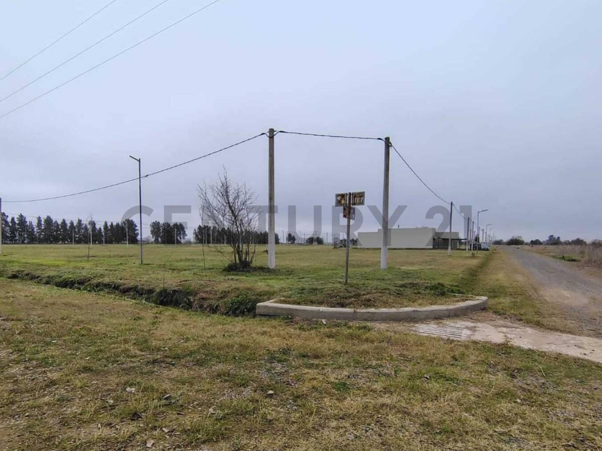 Foto de Terreno de 338 m² en esquina en Loteo Don Basilio., imagen 1