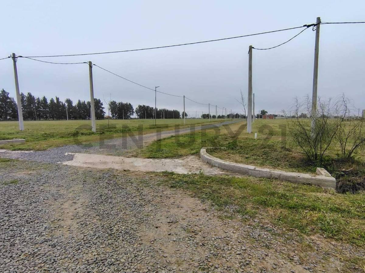 Foto de Terreno de 338 m² en esquina en Loteo Don Basilio., imagen 3