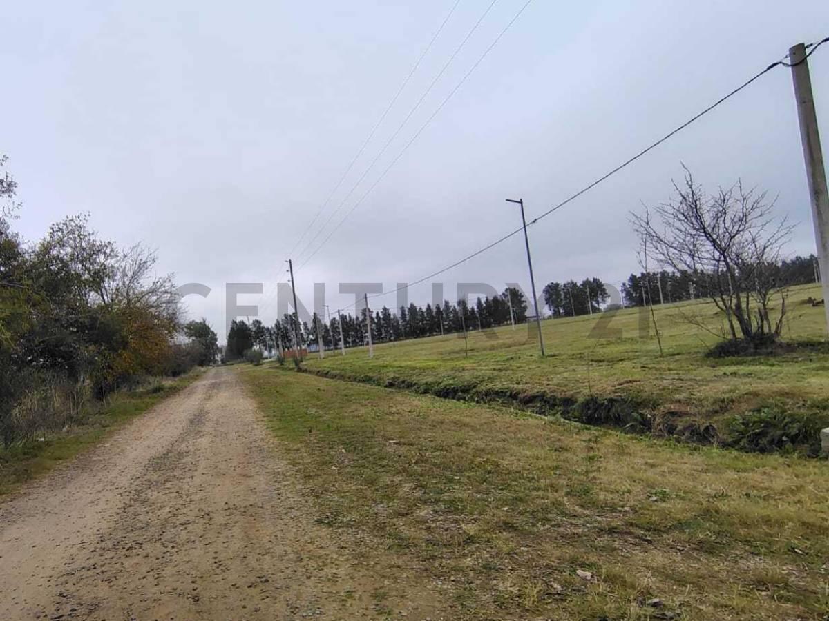 Foto de Terreno de 338 m² en esquina en Loteo Don Basilio., imagen 2
