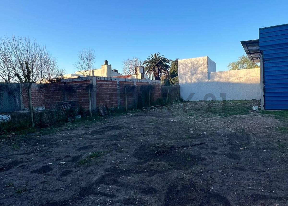 Foto de Lote de 337 m² en Villa Elvira, La Plata, imagen 4