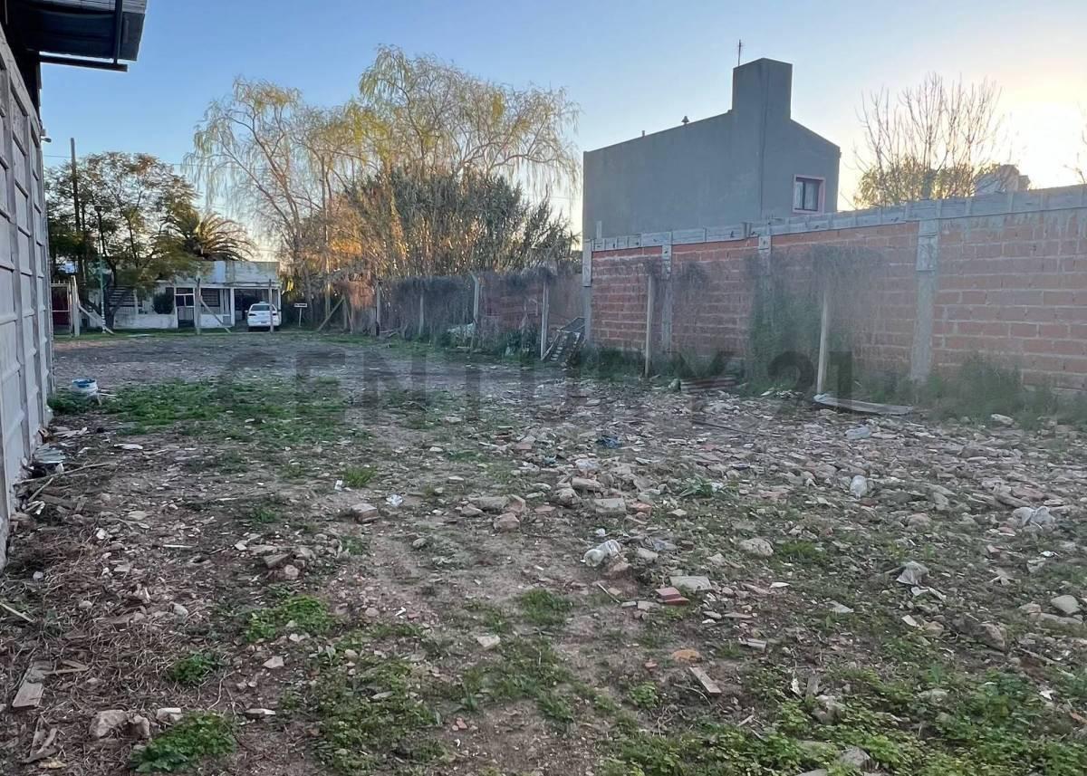 Foto de Lote de 337 m² en Villa Elvira, La Plata, imagen 3
