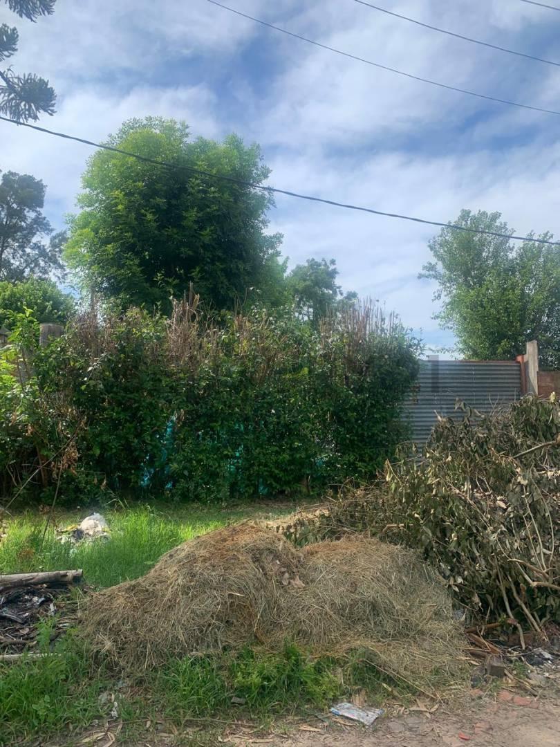 Foto de Venta de Lote en calle 425 e/ 28 y 28 bis, Villa Elisa-Partido de La, imagen 1