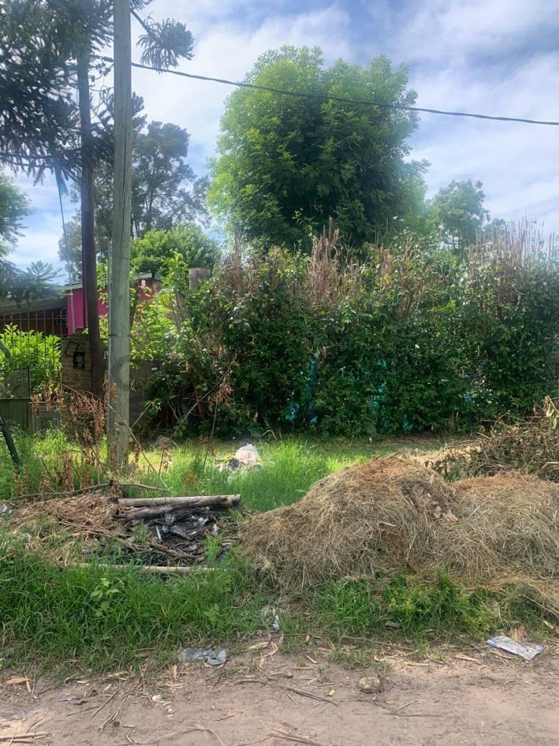 Foto de Venta de Lote en calle 425 e/ 28 y 28 bis, Villa Elisa-Partido de La, imagen 4