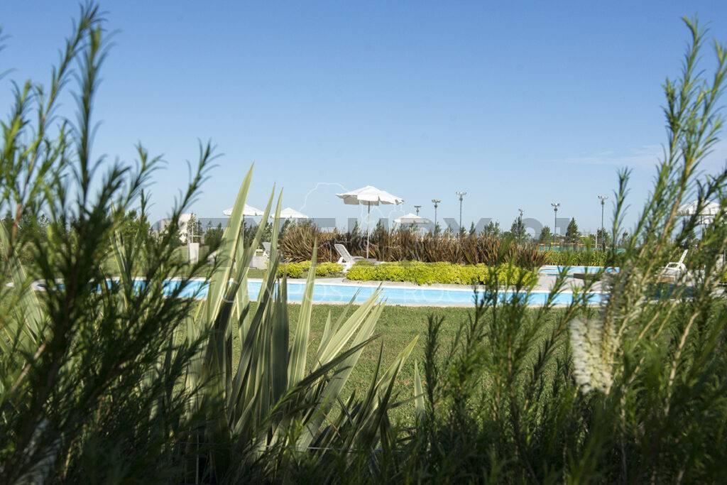 Foto de Lote en Campos de Roca II, imagen 5