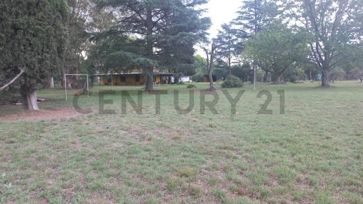 Foto de CASA QUINTA EN VENTA EN ABASTO, imagen 2