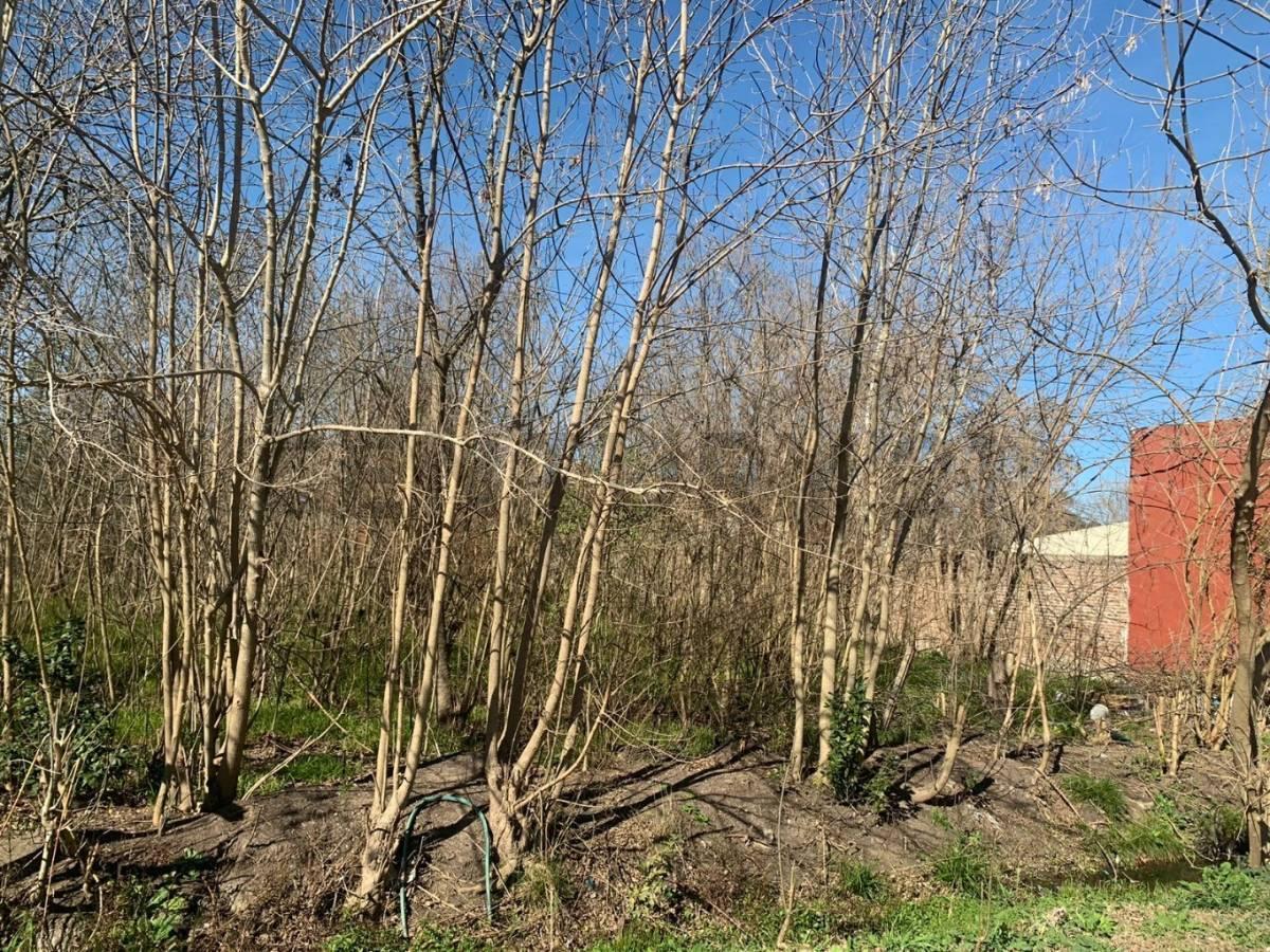 Foto de Lote en Venta en City Bell, en calle 450 e/ 28 y 28 bis. Lote propio, imagen 2
