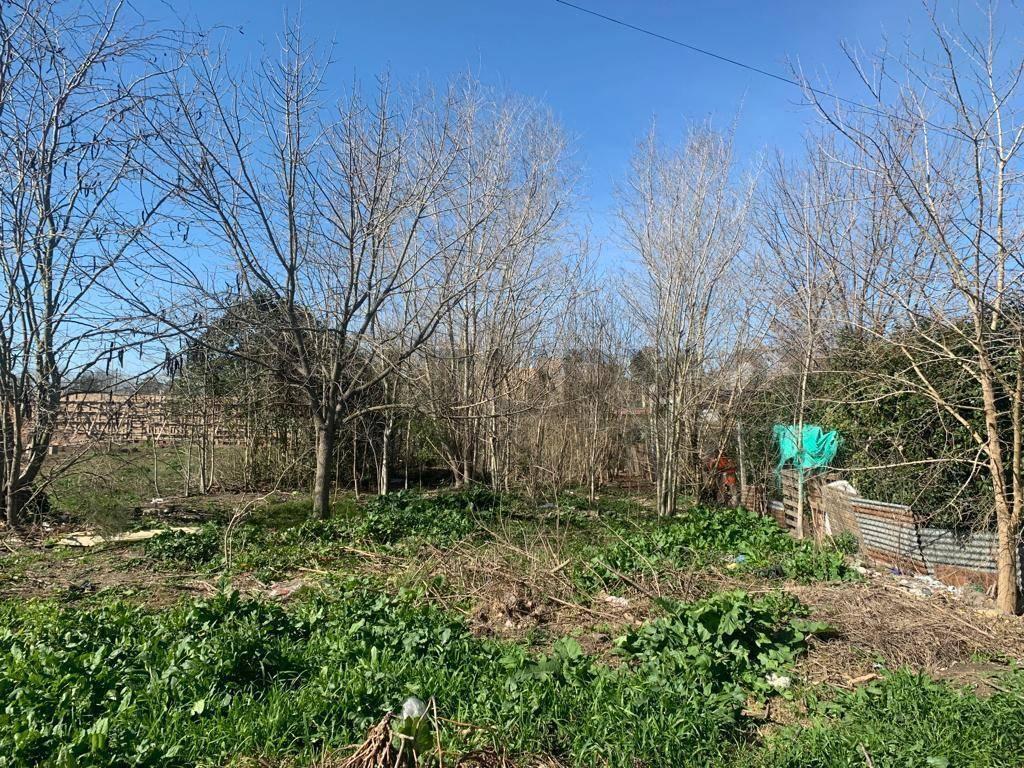 Foto de Lote propio en venta en zona residencial de City Bell. Tiene una, imagen 3