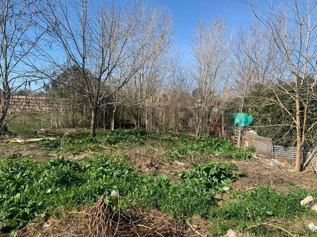 Foto de Lote propio en venta en zona residencial de City Bell. Tiene una, imagen 1