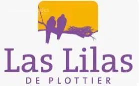 Venta Terreno 375 m2 - Las Lilas Plottier Neuquen 1