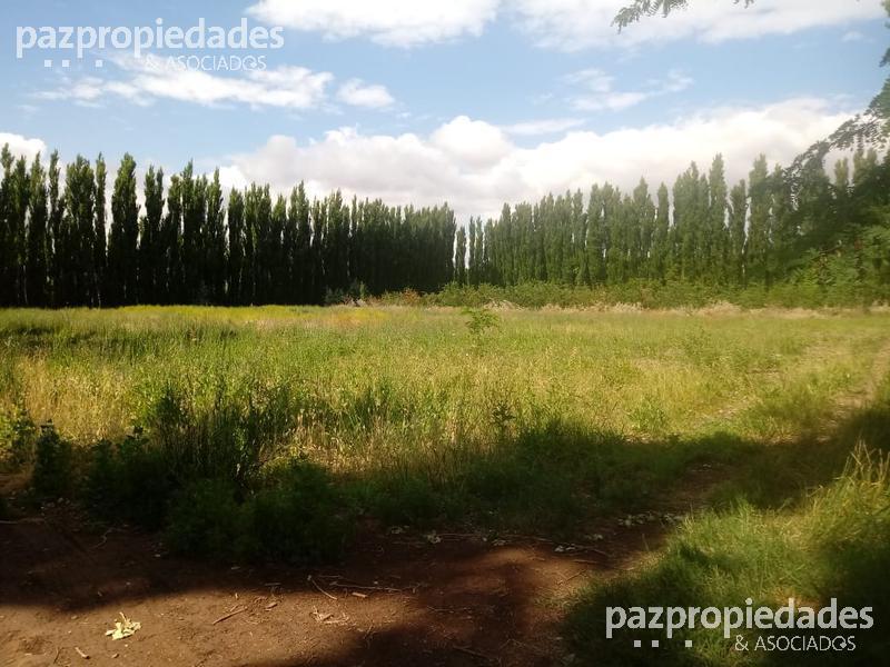 Foto de Venta Terreno 30000 m2 - Vista Alegre Neuquen, imagen 1