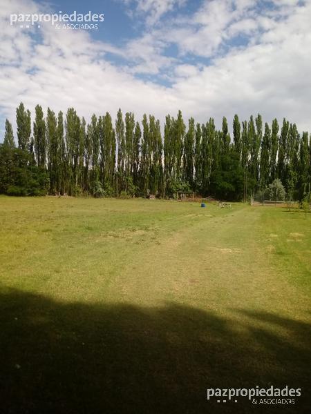Foto de Venta Terreno 30000 m2 - Vista Alegre Neuquen, imagen 2