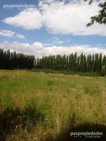 Foto de Venta Terreno 30000 m2 - Vista Alegre Neuquen, imagen 3