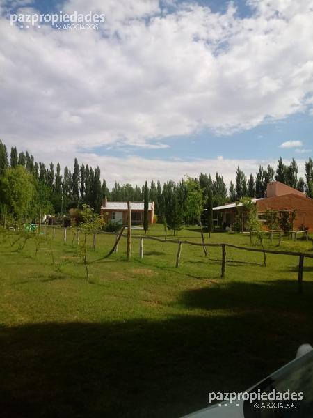 Foto de Venta Terreno 30000 m2 - Vista Alegre Neuquen, imagen 5