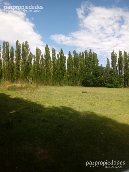 Foto de Venta Terreno 30000 m2 - Vista Alegre Neuquen, imagen 4
