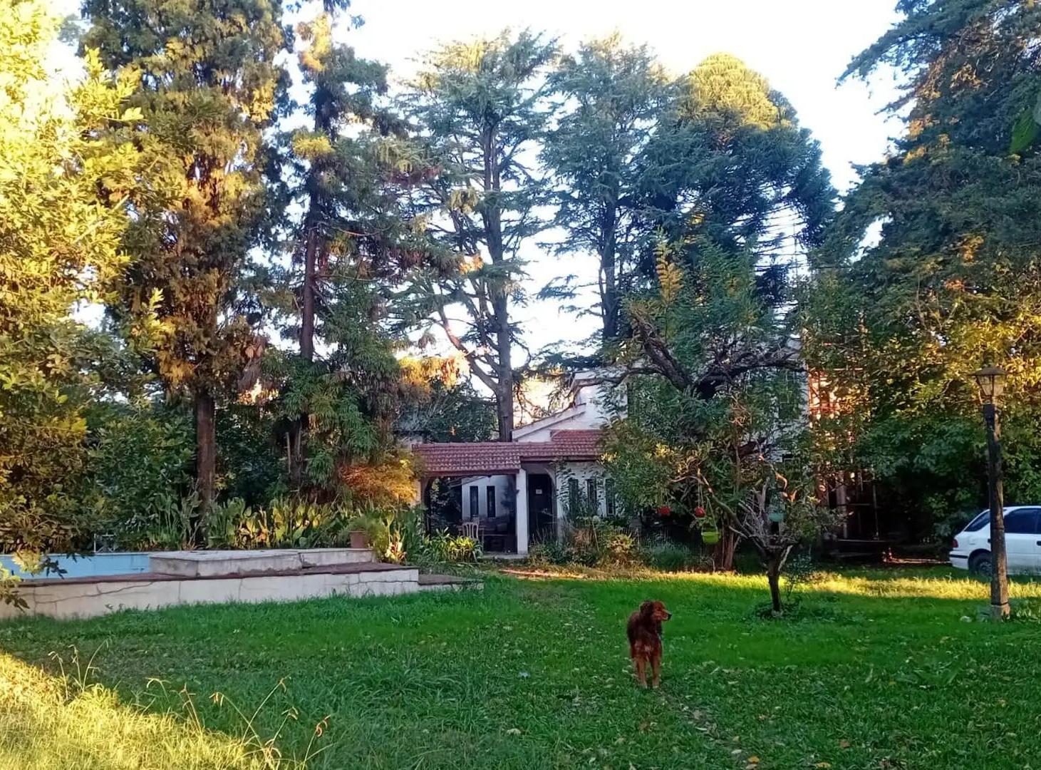 Foto de Lote con Casa de 2 plantas, frondosa arboleda y garage cubierto, imagen 3