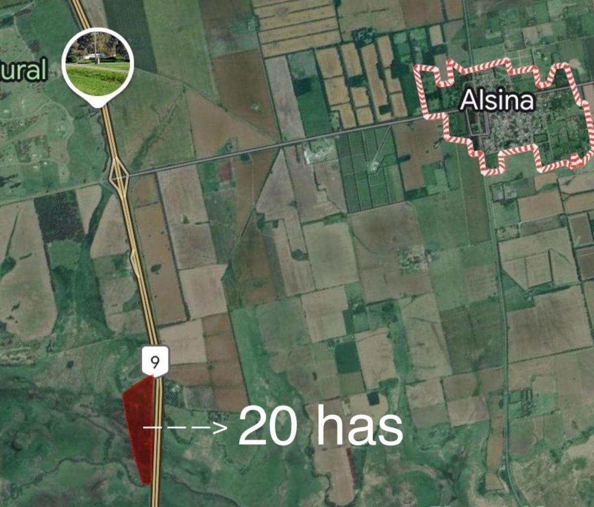 VENTA CAMPO 20 HAS SOBRE RUTA 9, ALSINA, BARADERO