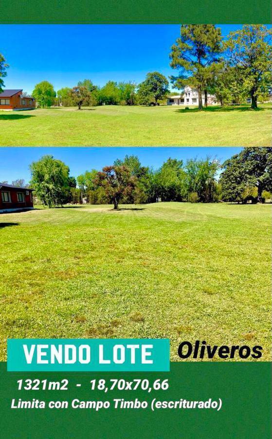 Foto de Terreno - Campo Timbo, imagen 3