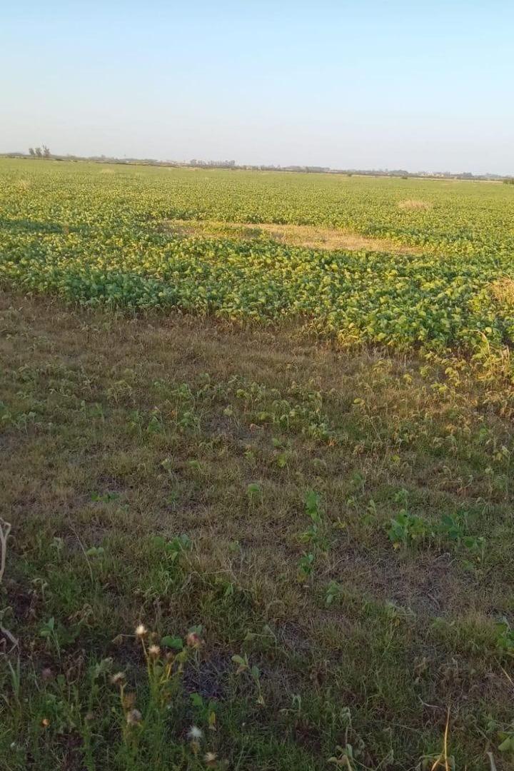 Campo en El Socorro - Mixto - Corral - Molino - Rinde