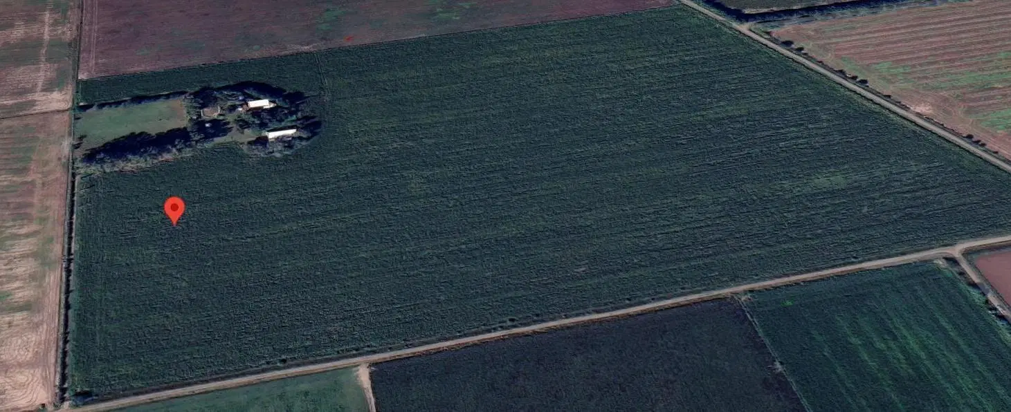Campo en Fighiera 2