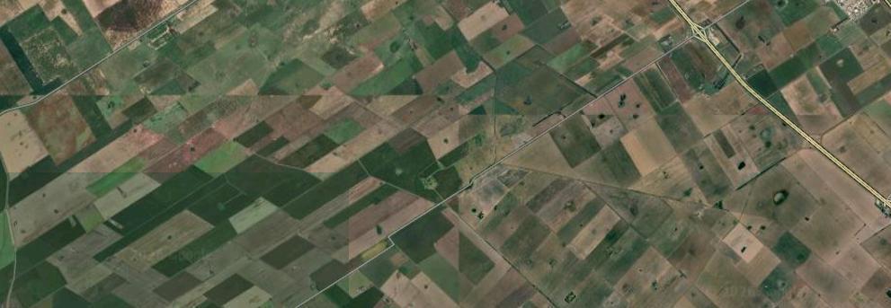 Campo en Pavon