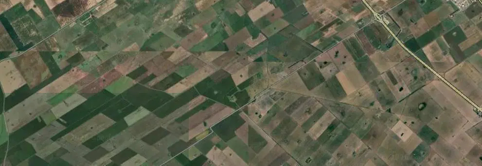 Campo en Pavon 1