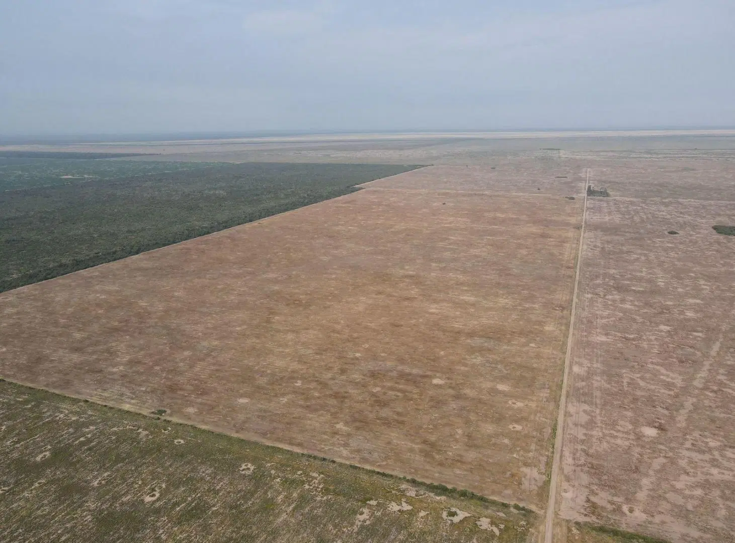 Campo en Malbran 4