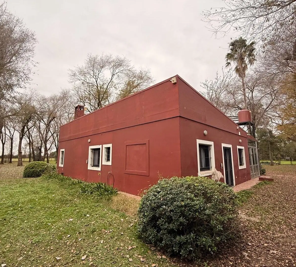 Campo con Casa y Forestación en arroyo seco 3