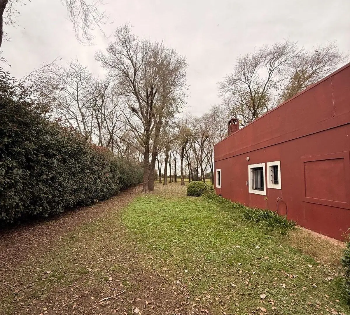 Campo con Casa y Forestación en arroyo seco 1