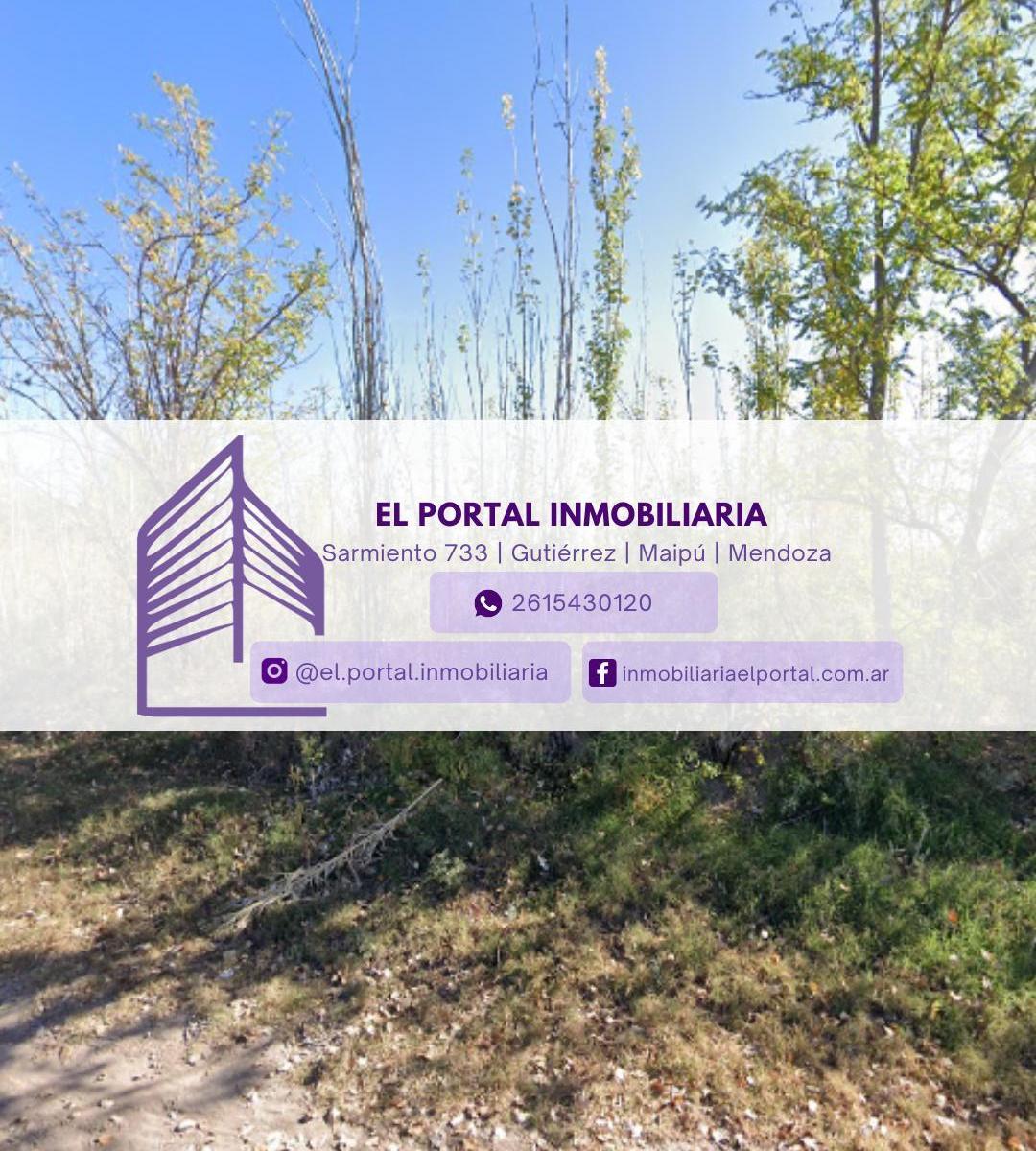 Finca en Venta - Isla Grande, Maipú 3