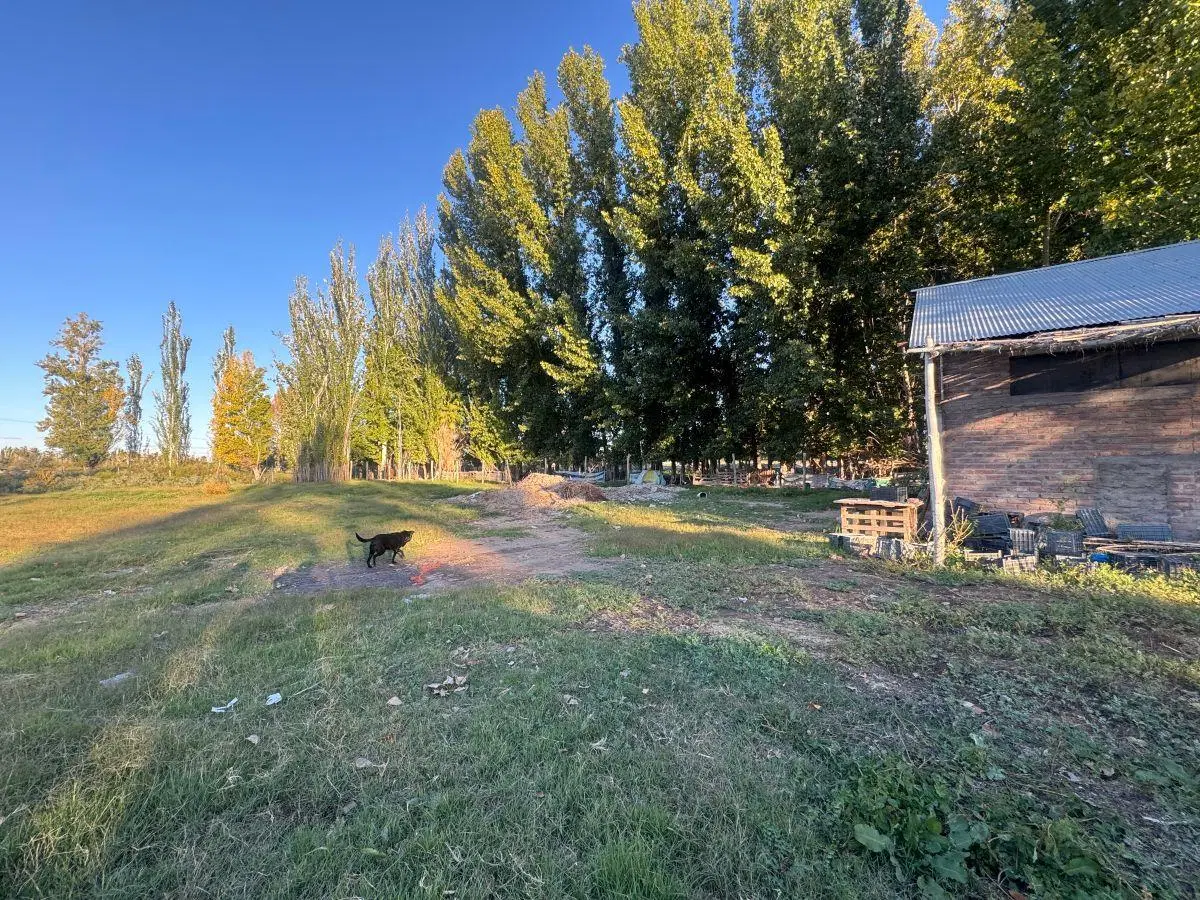 Bodega-Galpon de 350 m2 en alquiler en Los Corralitos 2