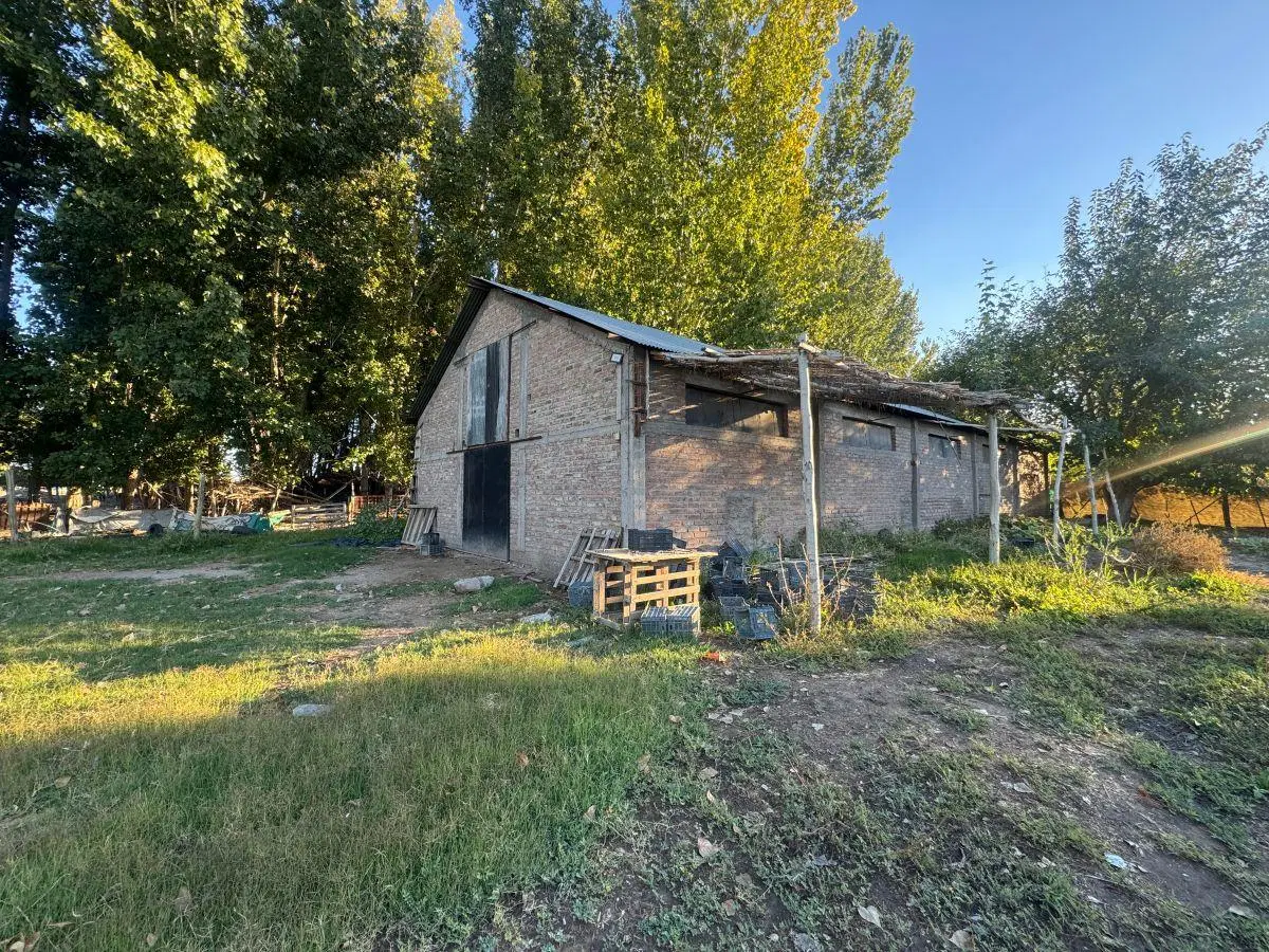 Bodega-Galpon de 350 m2 en alquiler en Los Corralitos 5