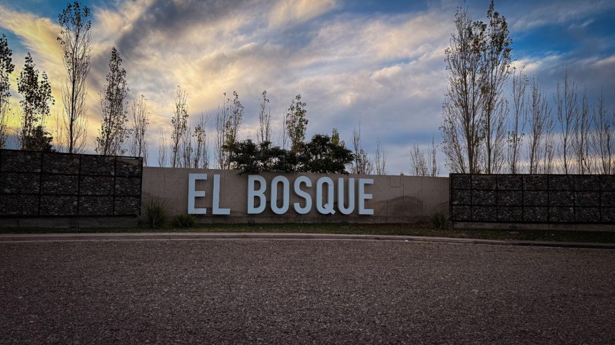 Foto de Terreno / Lote en venta de 312m2 ubicado en Rodeo del Medio, imagen 1