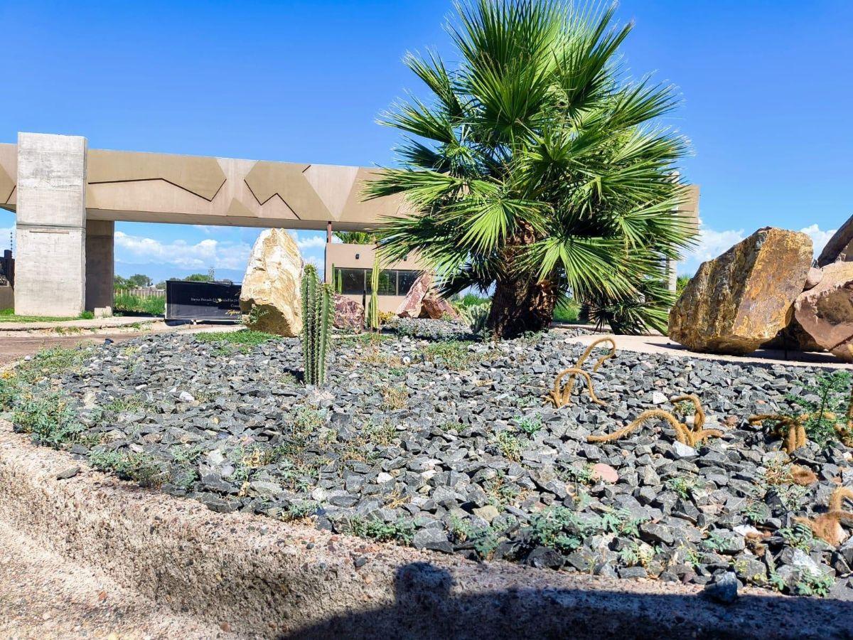 Foto de Terreno / Lote en venta de 300m2 ubicado en Rodeo de la Cruz, imagen 1