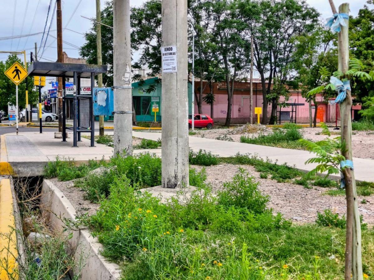 Foto de Terreno / Lote en venta de 53200m2 ubicado en Rodeo de la Cruz, imagen 1