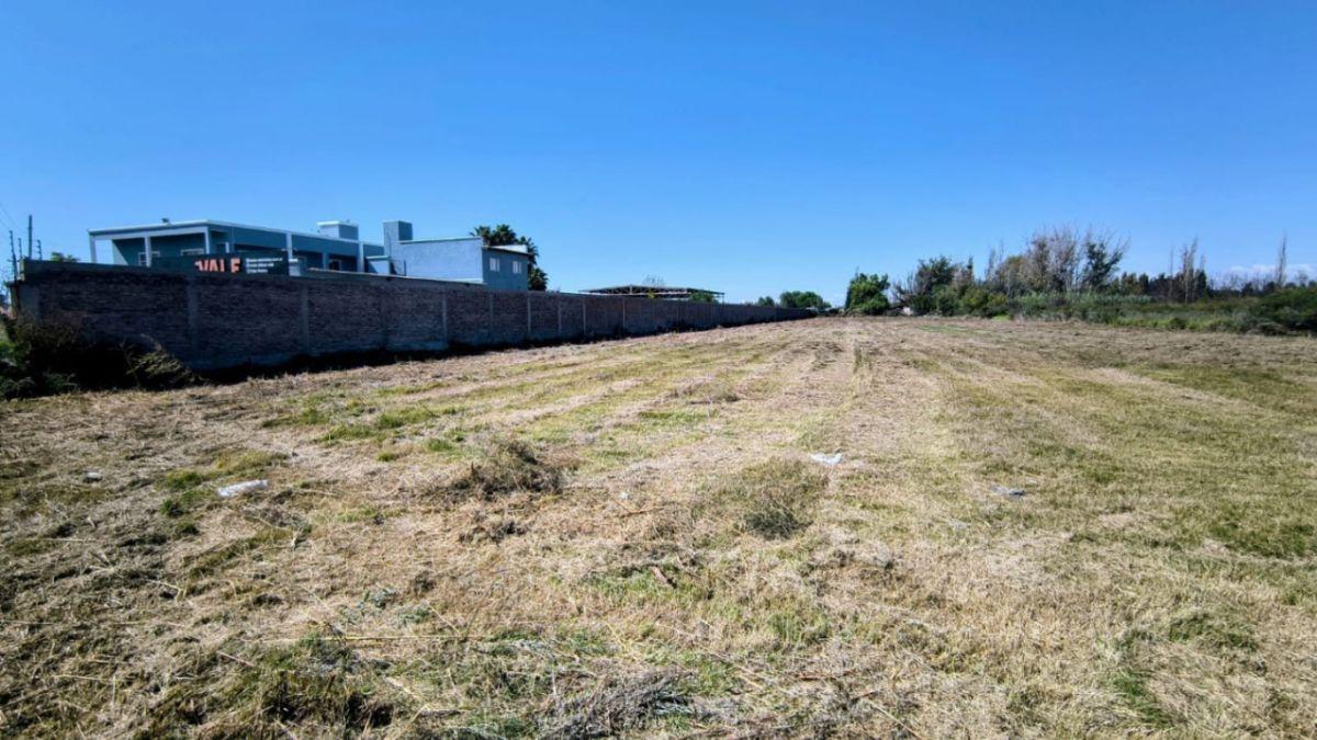 Foto de Terreno / Lote en venta de 8800m2 ubicado en Los Corralitos, imagen 2
