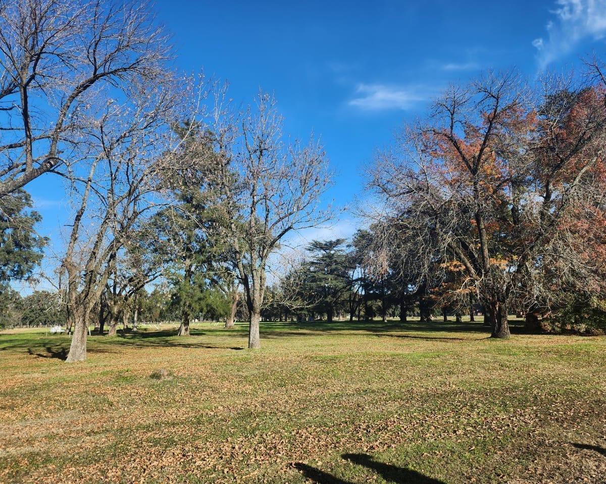 Terreno en venta en Barrio Almahue, La Lonja Pilar