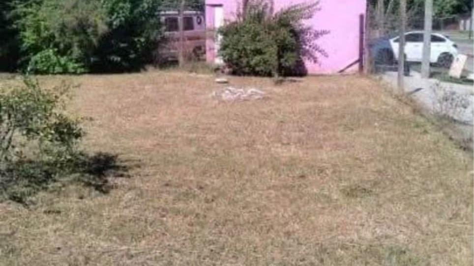 Imagen de la propiedad