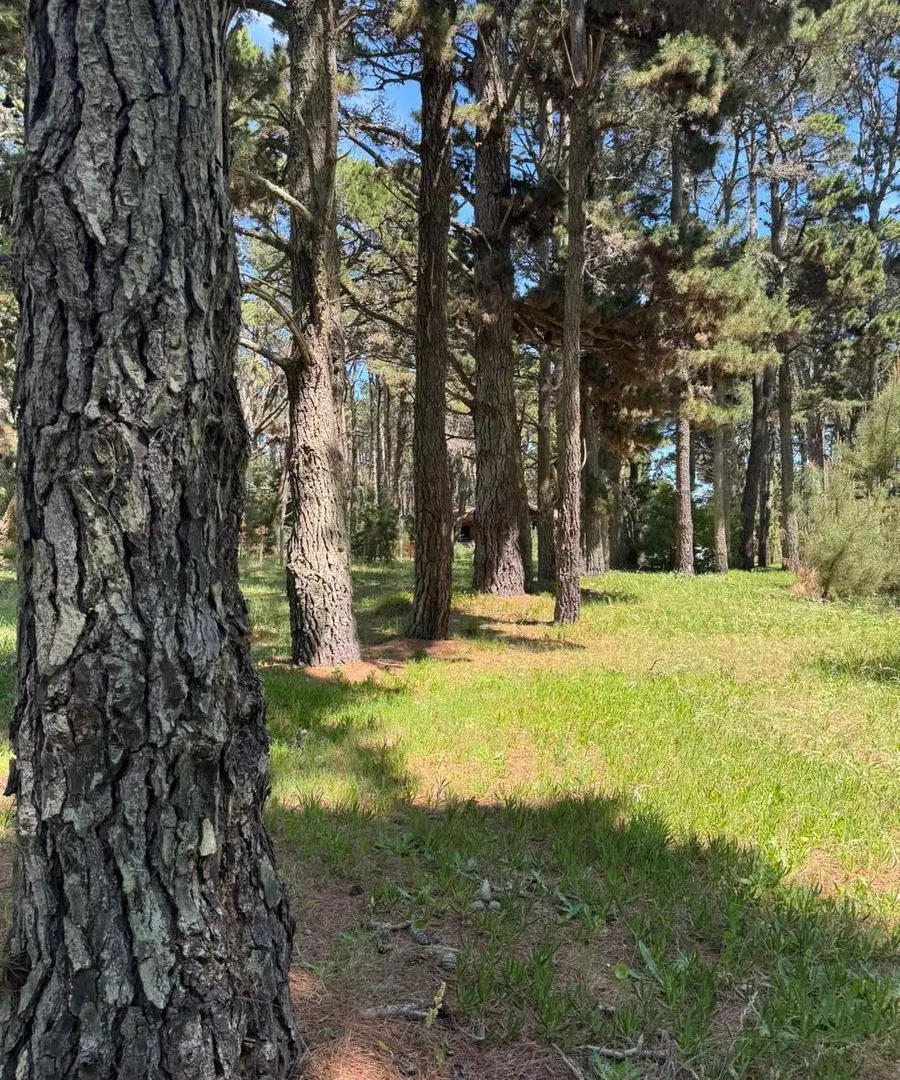 Terreno en La Lucila Del Mar en venta 3