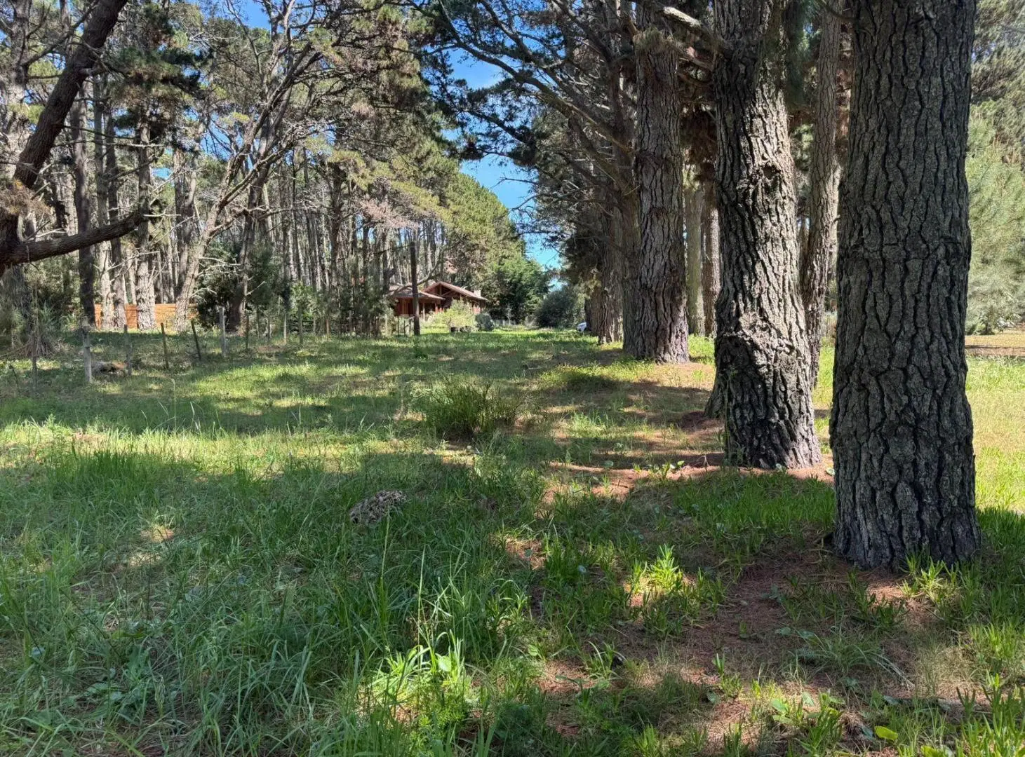 Terreno en La Lucila Del Mar en venta 4
