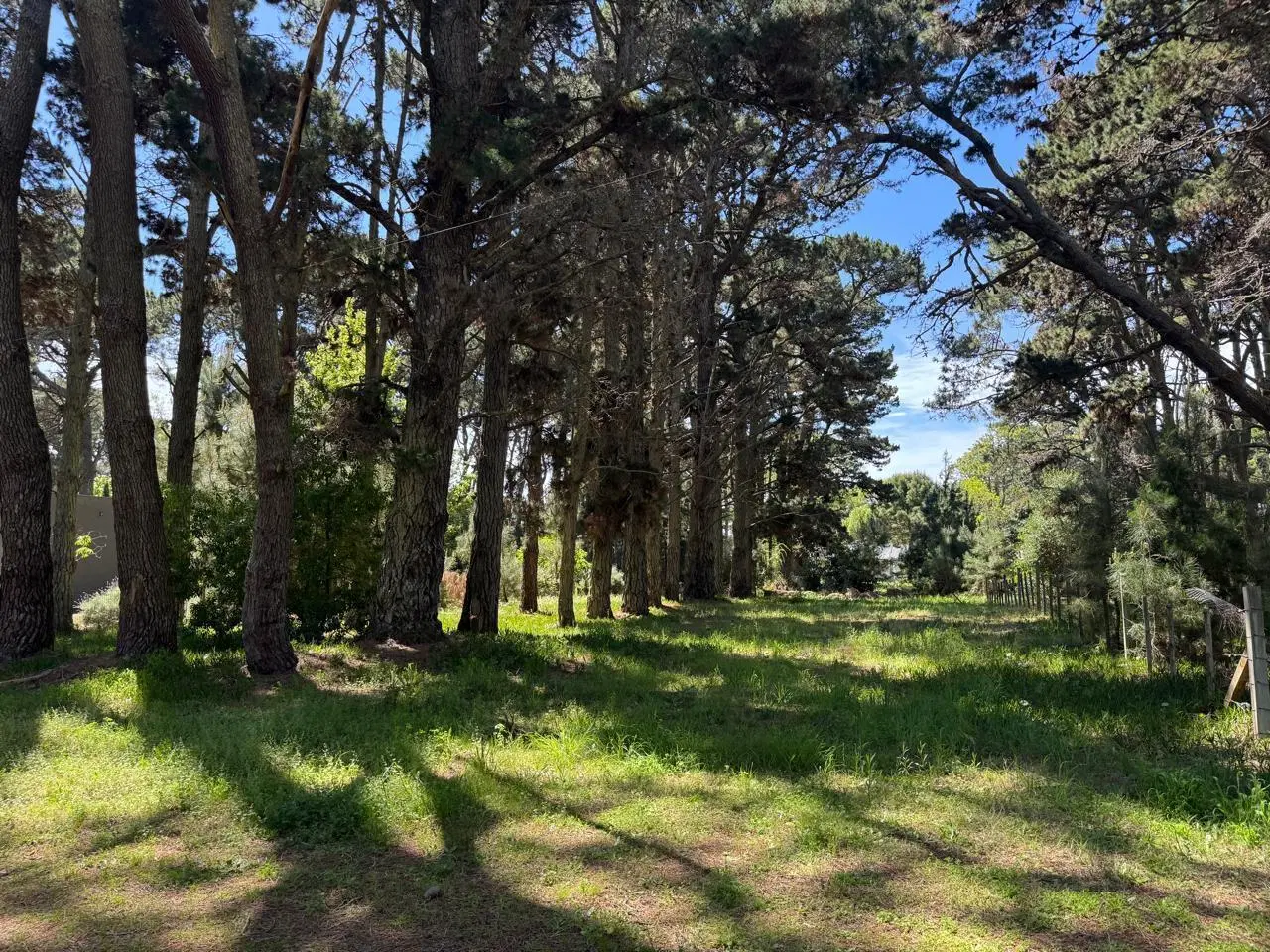 Terreno en La Lucila Del Mar en venta 5