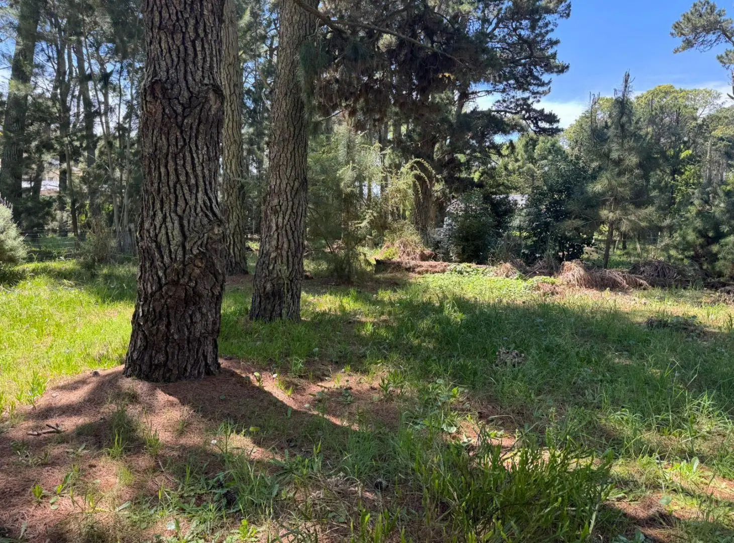 Terreno en La Lucila Del Mar en venta 2
