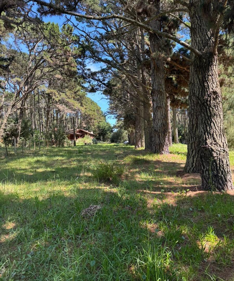 Terreno en La Lucila Del Mar en venta