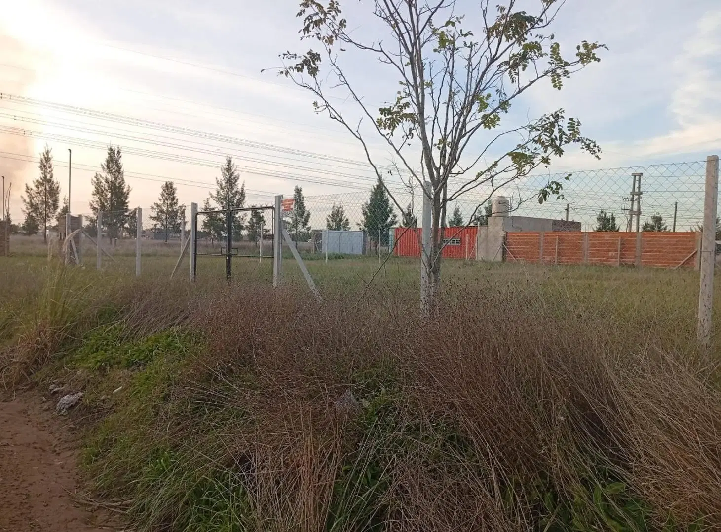 Terreno en Maximo Paz 3