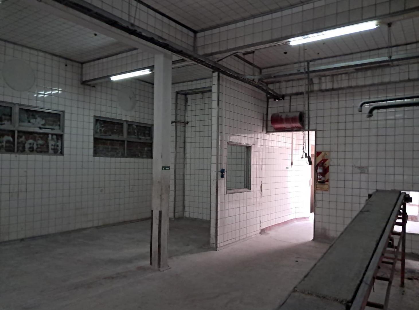 Foto de VENTA FRIGORIFICO DEPOSITO FABRICA GALPON en Mataderos, imagen 5