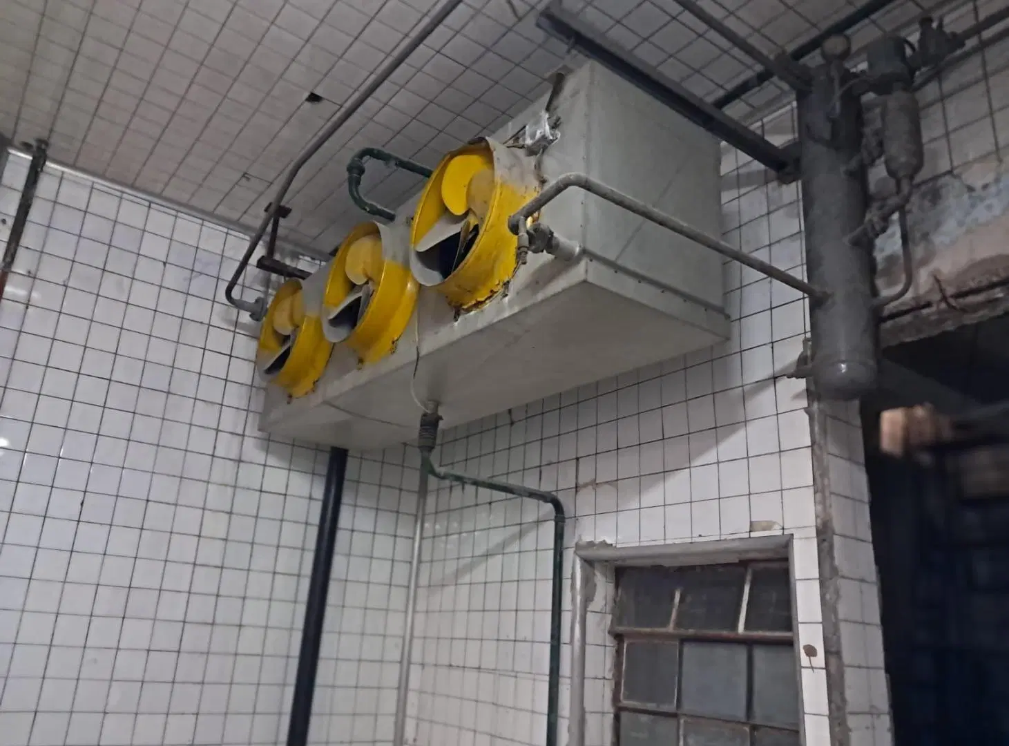 ALQUILER FRIGORIFICO DEPOSITO FABRICA GALPON en Mataderos 8