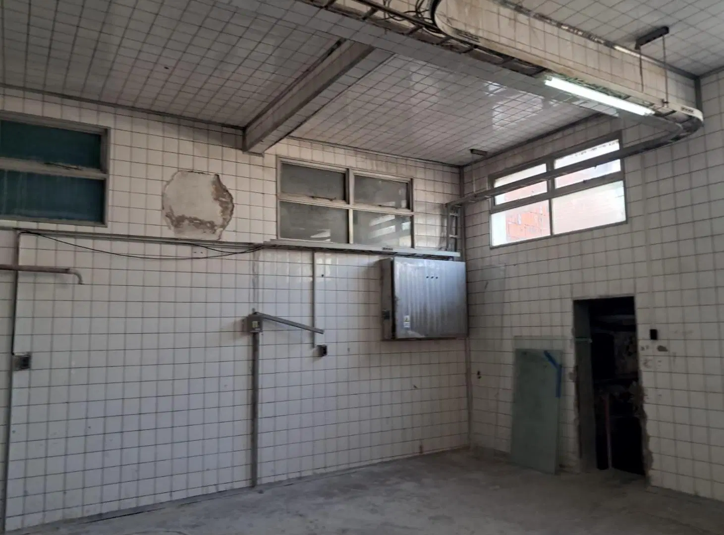 ALQUILER FRIGORIFICO DEPOSITO FABRICA GALPON en Mataderos 5