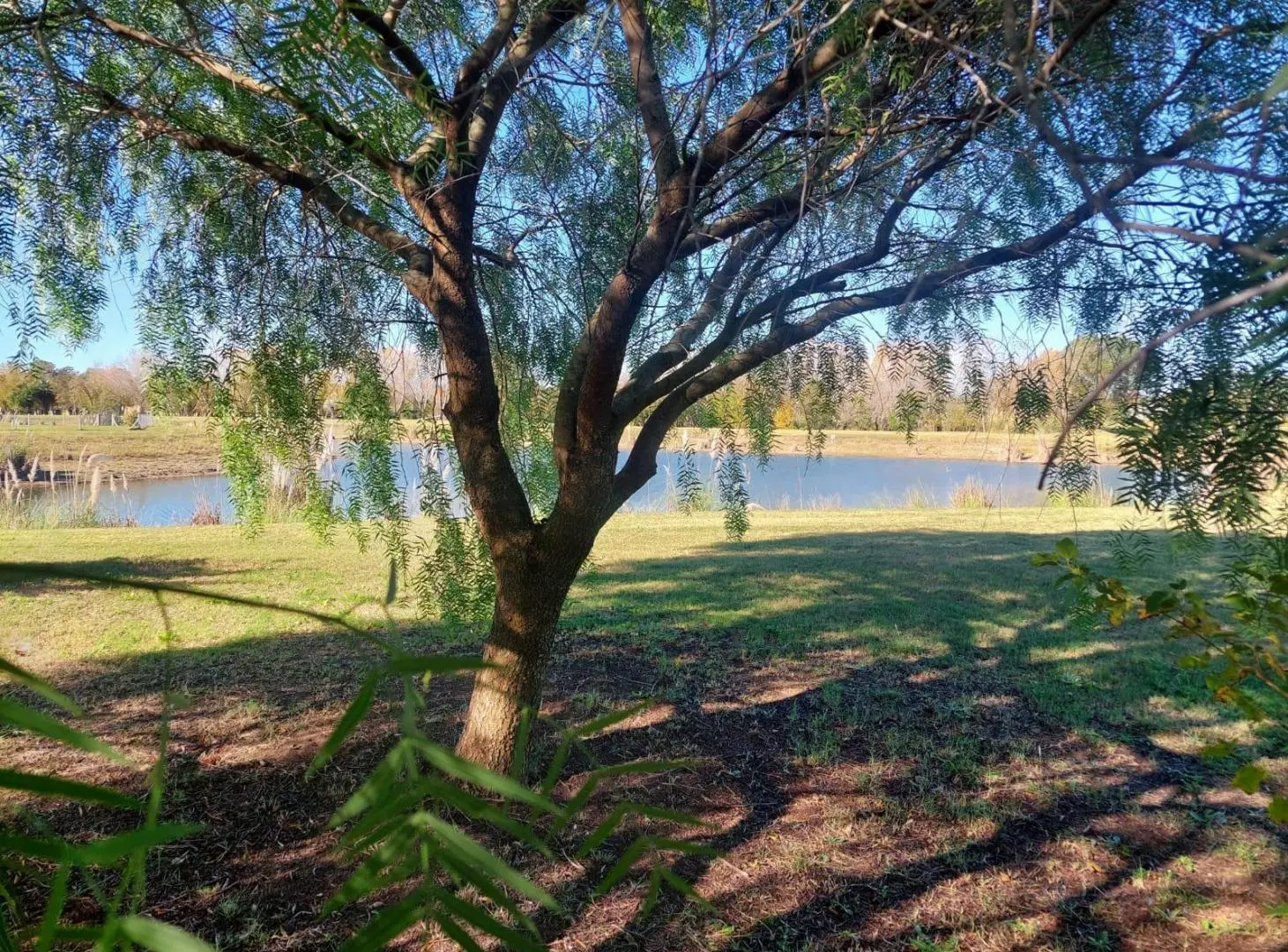 VENTA LOTE 2000 MTS  LAGUNA 8